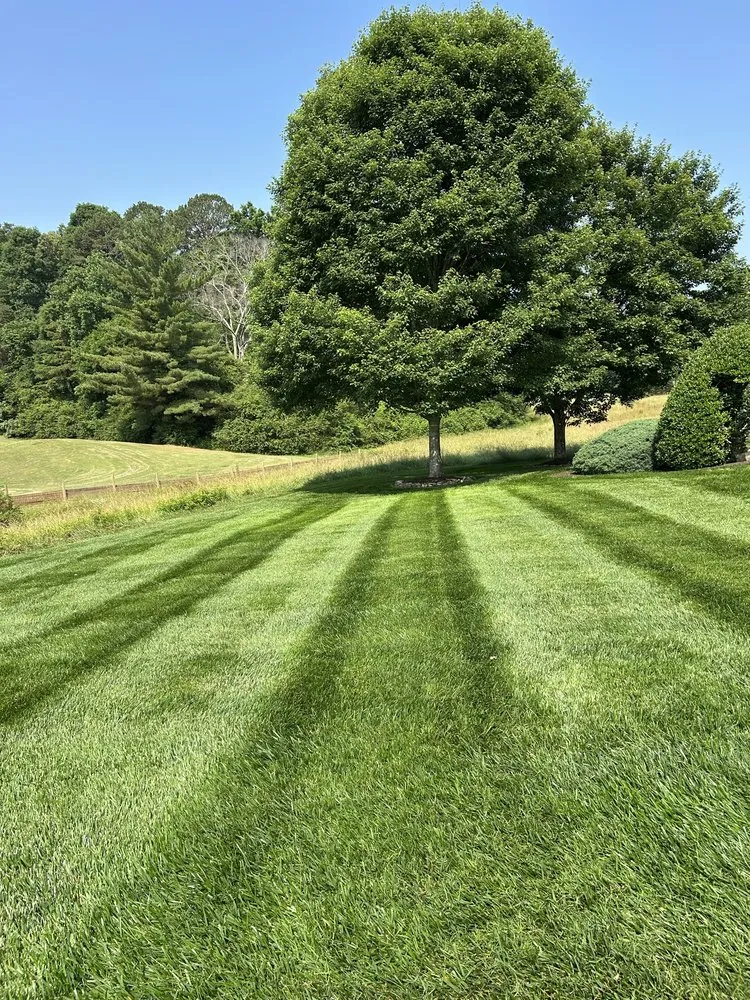 Expert landscaping services in Knoxville, TN - Ruben landscaping