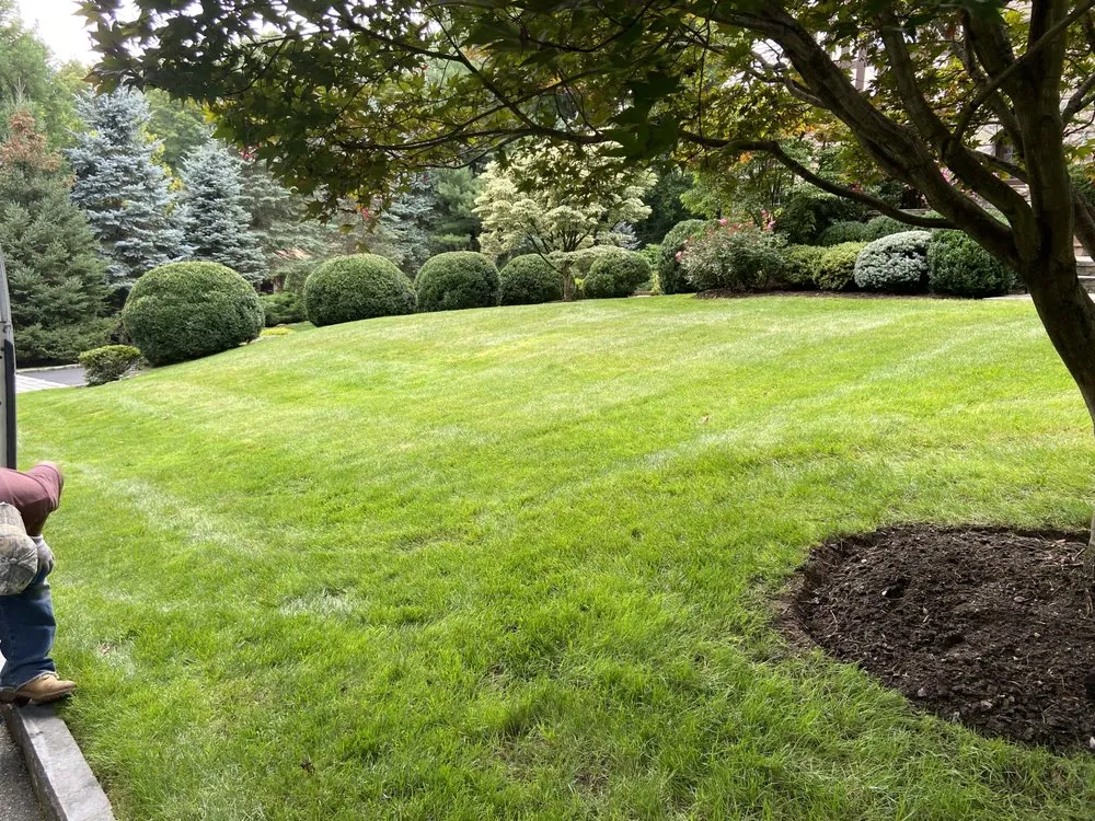 Professional yard cleanup service in Mamaroneck, NY by Ruben Lopez Landscaping