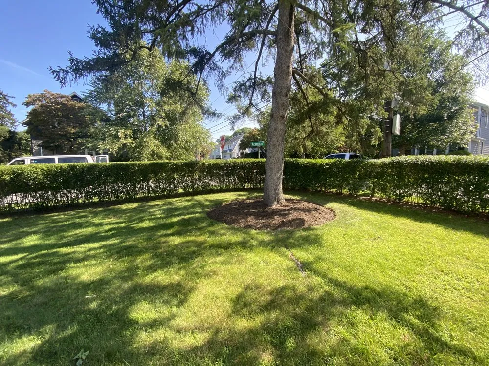 Top-rated lawn care service experts serving Mamaroneck, NY - Ruben Lopez Landscaping