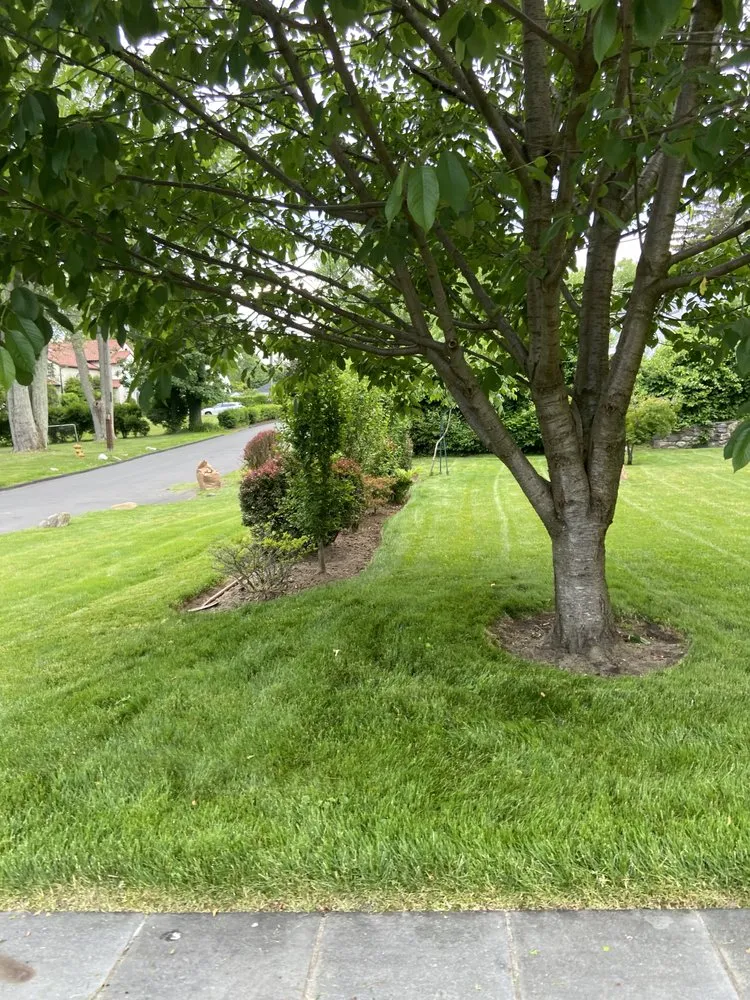 Affordable lawn care service for outdoor upgrades in Mamaroneck, NY by Ruben Lopez Landscaping