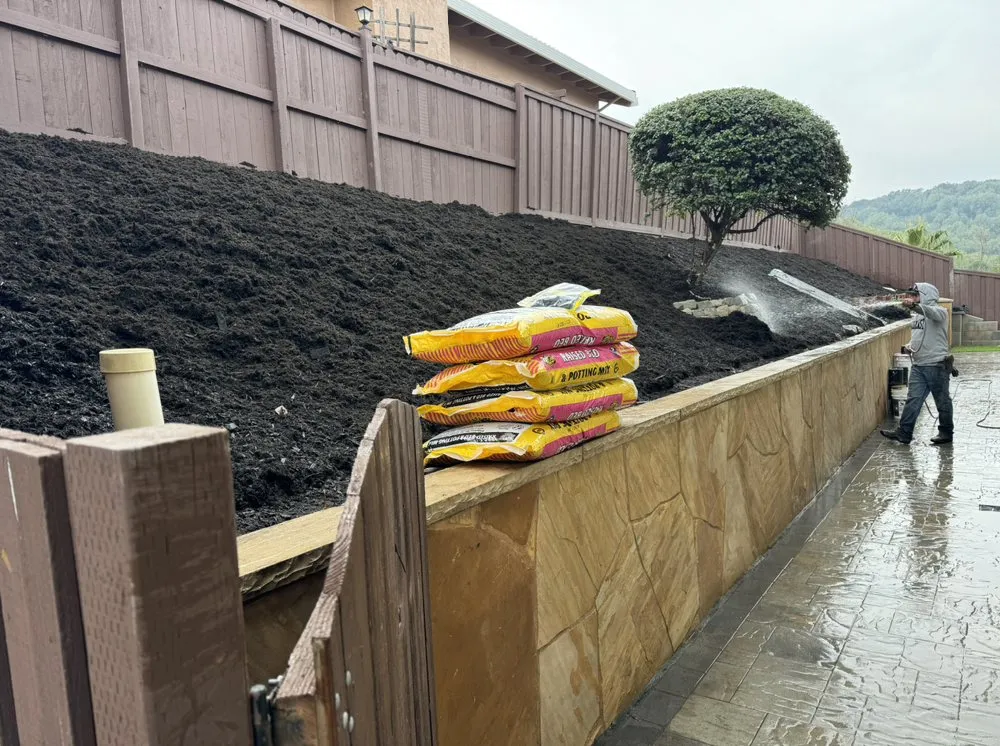 Affordable outdoor landscaping in Pacheco, CA by Ruben Y Abraham Garden Landscaping