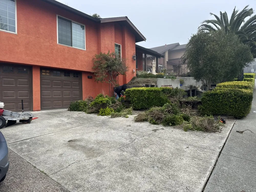 Top-rated yard maintenance for homes across Pacheco, CA - Ruben Y Abraham Garden Landscaping
