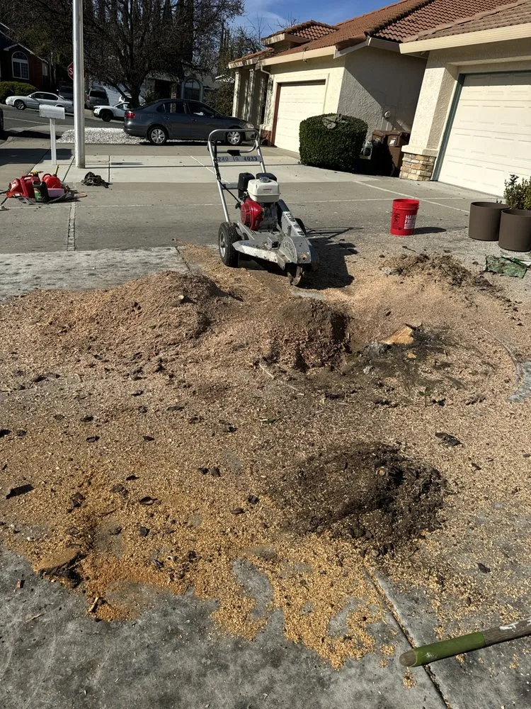 Affordable yard cleanup service in Pacheco, CA by Ruben Y Abraham Garden Landscaping