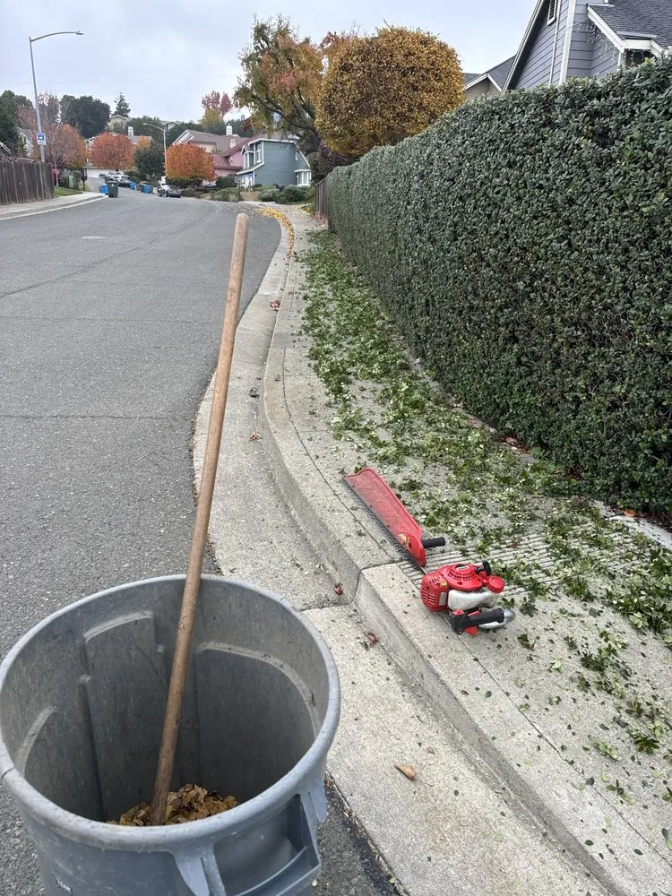 Affordable lawn mowing service experts serving Pacheco, CA - Ruben Y Abraham Garden Landscaping