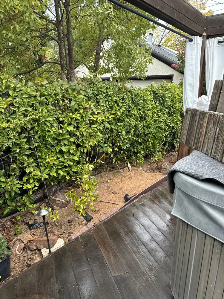 Professional lawn mowing service for beautiful yards across Pacheco, CA - Ruben Y Abraham Garden Landscaping