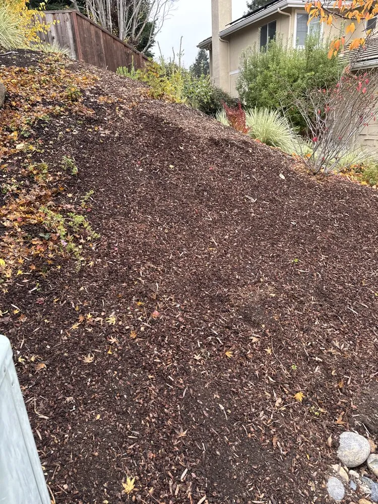 Expert outdoor landscaping in Pacheco, CA - Ruben Y Abraham Garden Landscaping