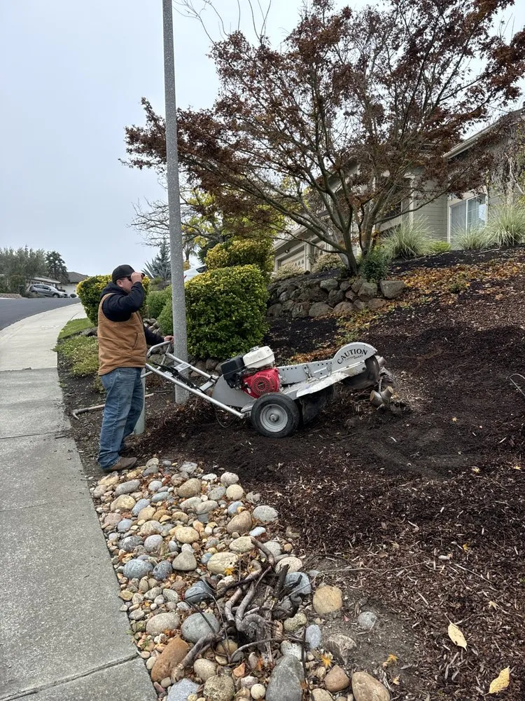 Reliable residential landscaping in Pacheco, CA by Ruben Y Abraham Garden Landscaping