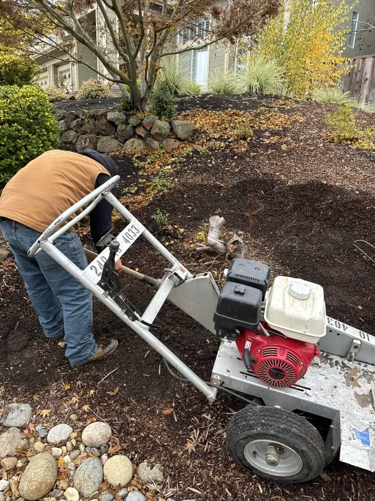 Local yard maintenance in Pacheco, CA - Ruben Y Abraham Garden Landscaping