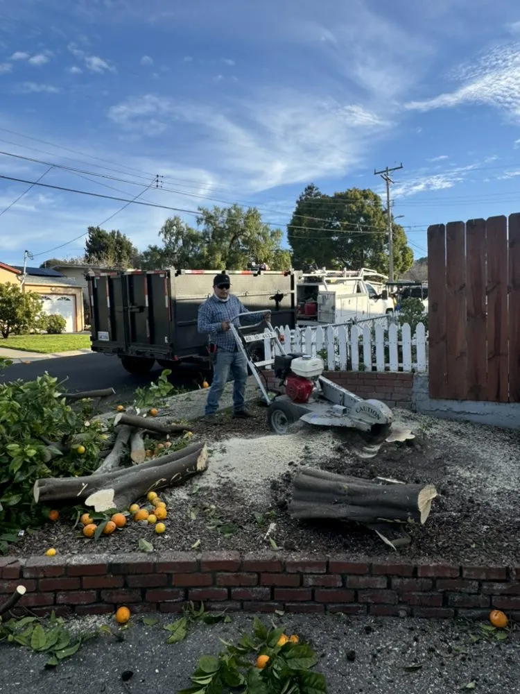 Custom outdoor landscaping for homes across Pacheco, CA - Ruben Y Abraham Garden Landscaping