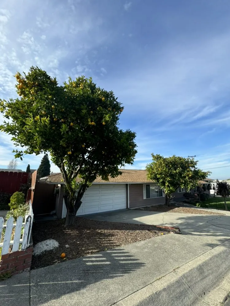 Expert residential landscaping in Pacheco, CA - Ruben Y Abraham Garden Landscaping