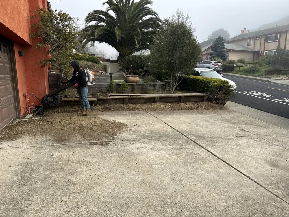 Local residential landscaping experts serving Pacheco, CA - Ruben Y Abraham Garden Landscaping