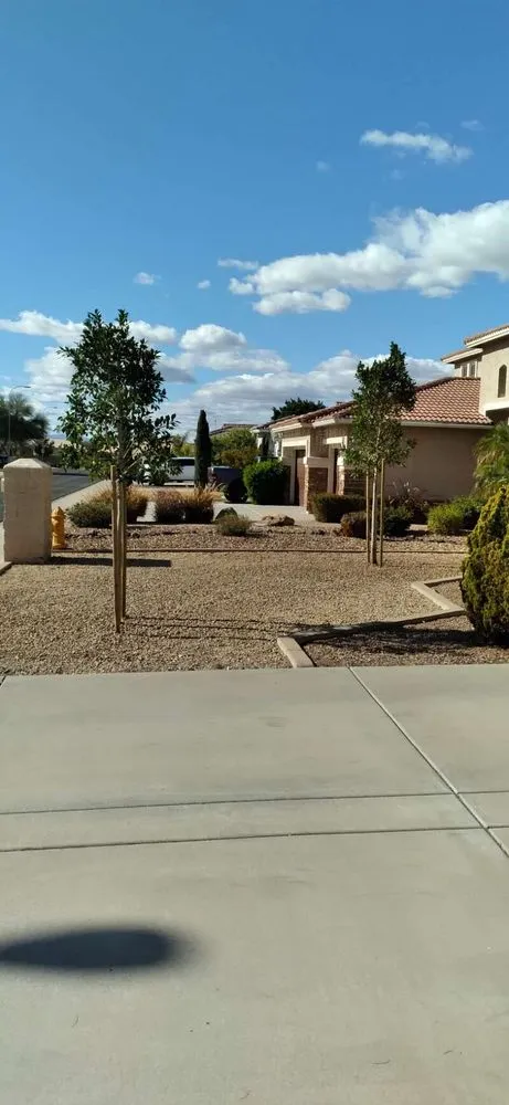 Top-rated yard cleanup service experts serving Buckeye, AZ - Rubenator Tree And Landscape Service