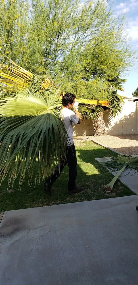 Custom outdoor landscaping for residential properties across Buckeye, AZ - Rubenator Tree And Landscape Service