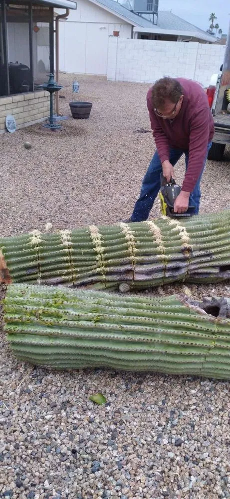 Trusted landscape installation for residential properties in Buckeye, AZ by Rubenator Tree And Landscape Service