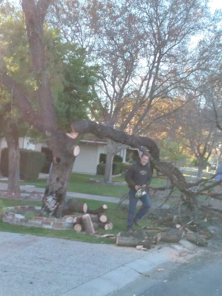 Custom garden landscaping experts serving Buckeye, AZ - Rubenator Tree And Landscape Service