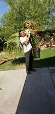 Rubenator Tree And Landscape Service Logo