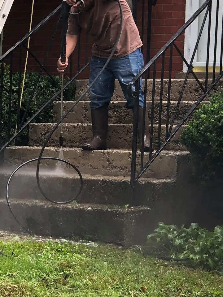 Top-rated yard cleanup service near you across Monrovia, MD - Rubenhood