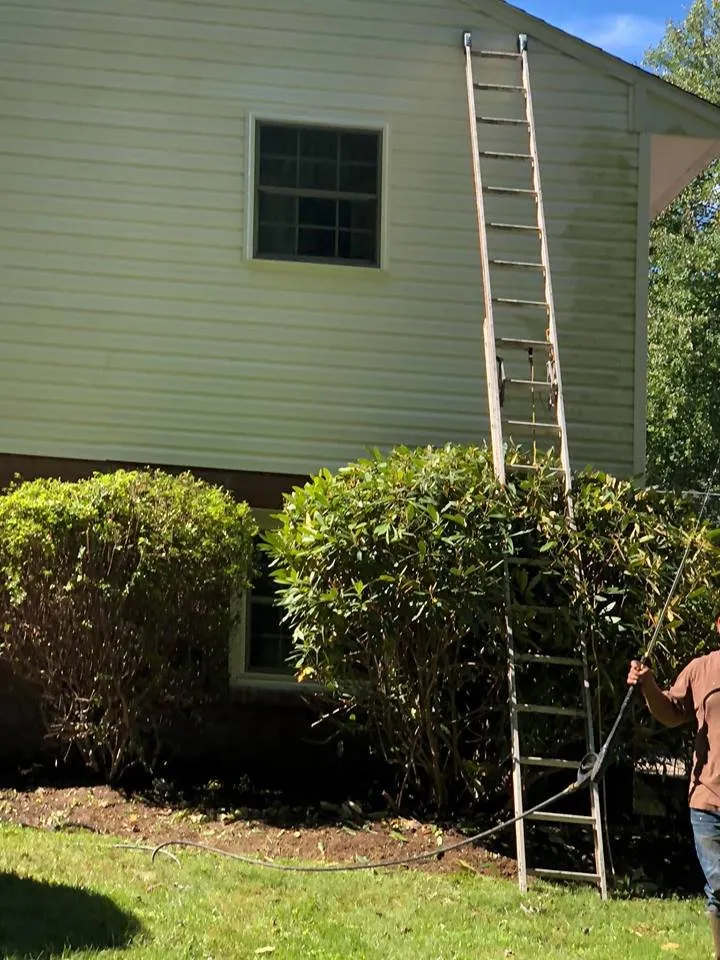 Expert landscape design experts serving Monrovia, MD - Rubenhood