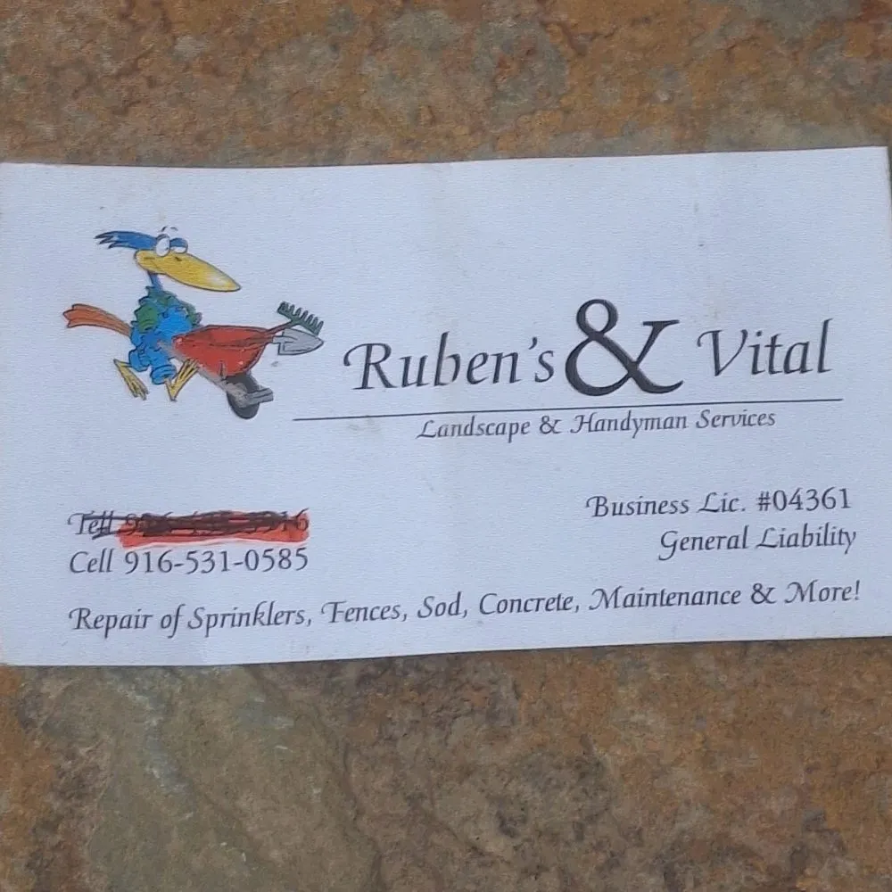 Reliable landscape design with custom design across Rocklin, CA - Ruben's & Vital