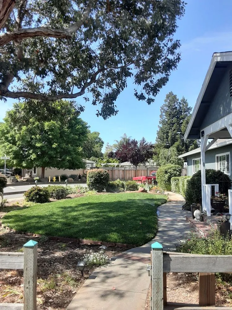 Custom outdoor landscaping in Campbell, CA - Ruben's Gardening Services