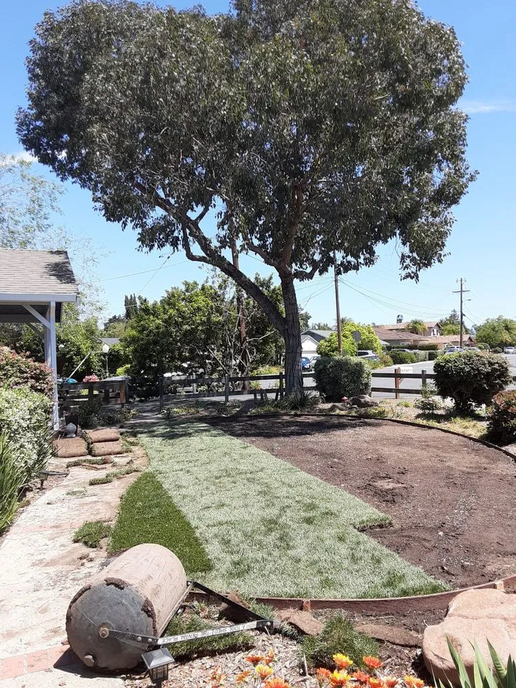 Affordable landscape installation near you across Campbell, CA - Ruben's Gardening Services