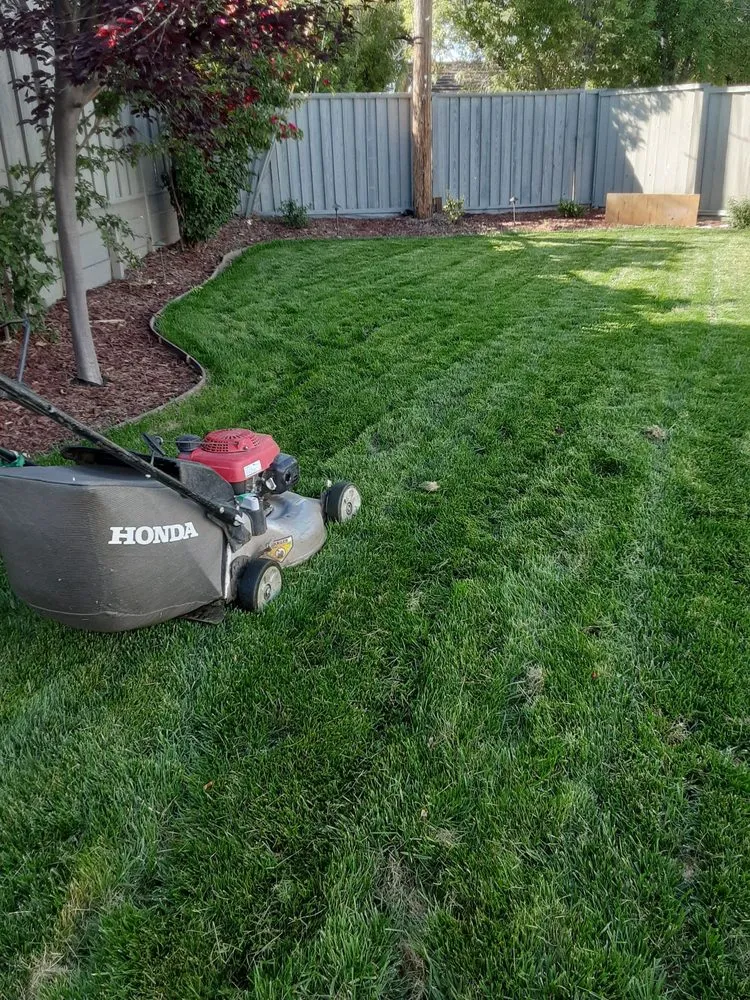 Trusted outdoor landscaping experts serving Campbell, CA - Ruben's Gardening Services