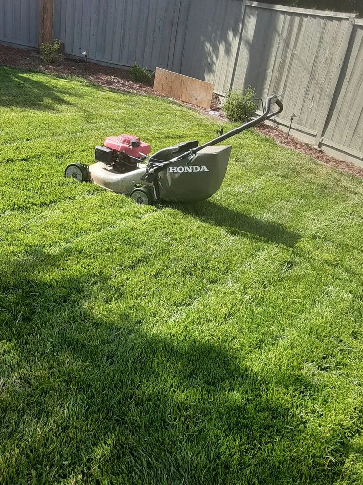 Reliable outdoor landscaping for residential properties across Campbell, CA - Ruben's Gardening Services