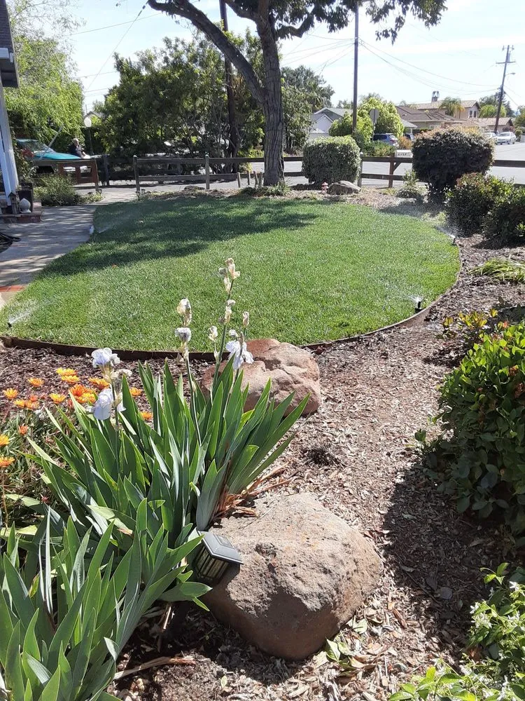 Professional residential landscaping for homes across Campbell, CA - Ruben's Gardening Services