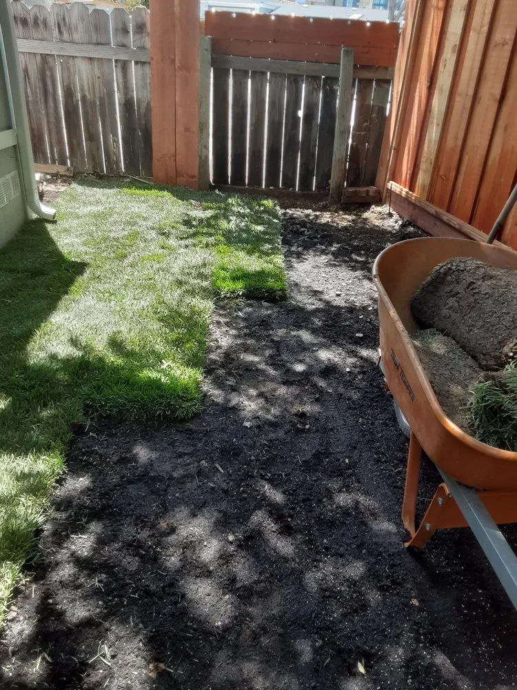 Top-rated yard maintenance for year-round maintenance in Campbell, CA by Ruben's Gardening Services