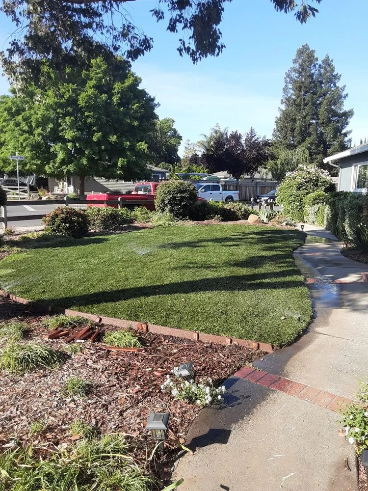 Custom landscaping services in Campbell, CA by Ruben's Gardening Services