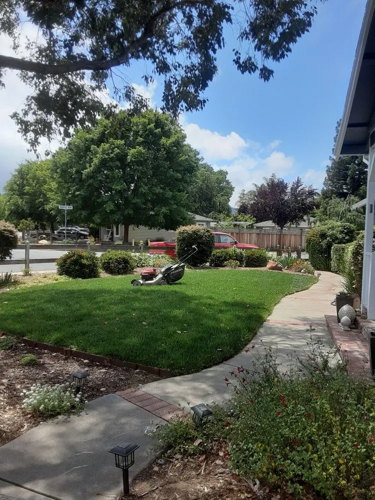 Reliable residential landscaping experts serving Campbell, CA - Ruben's Gardening Services