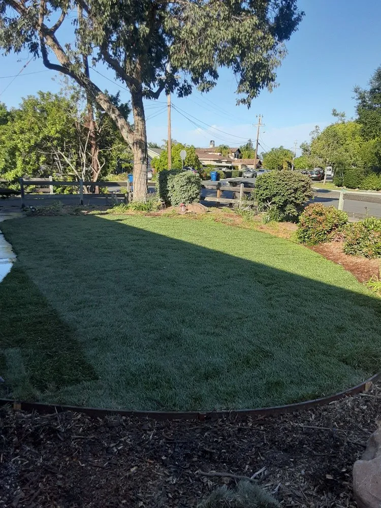 Professional yard maintenance experts serving Campbell, CA - Ruben's Gardening Services