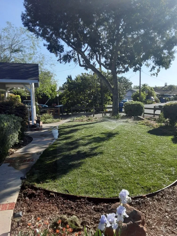 Professional lawn mowing service in Campbell, CA - Ruben's Gardening Services