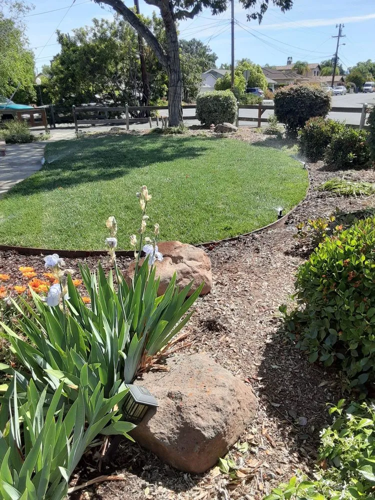 Affordable garden landscaping for residential properties in Campbell, CA by Ruben's Gardening Services