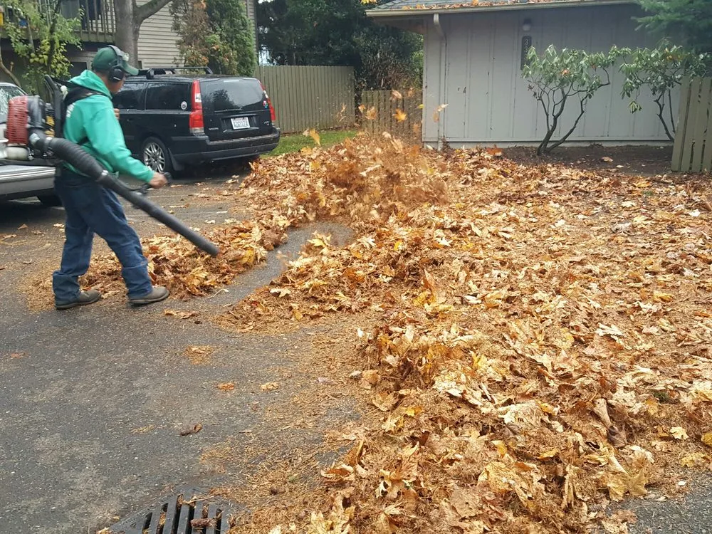 Expert lawn care service in Ferndale, WA - Rubens Landscape & Asphalt