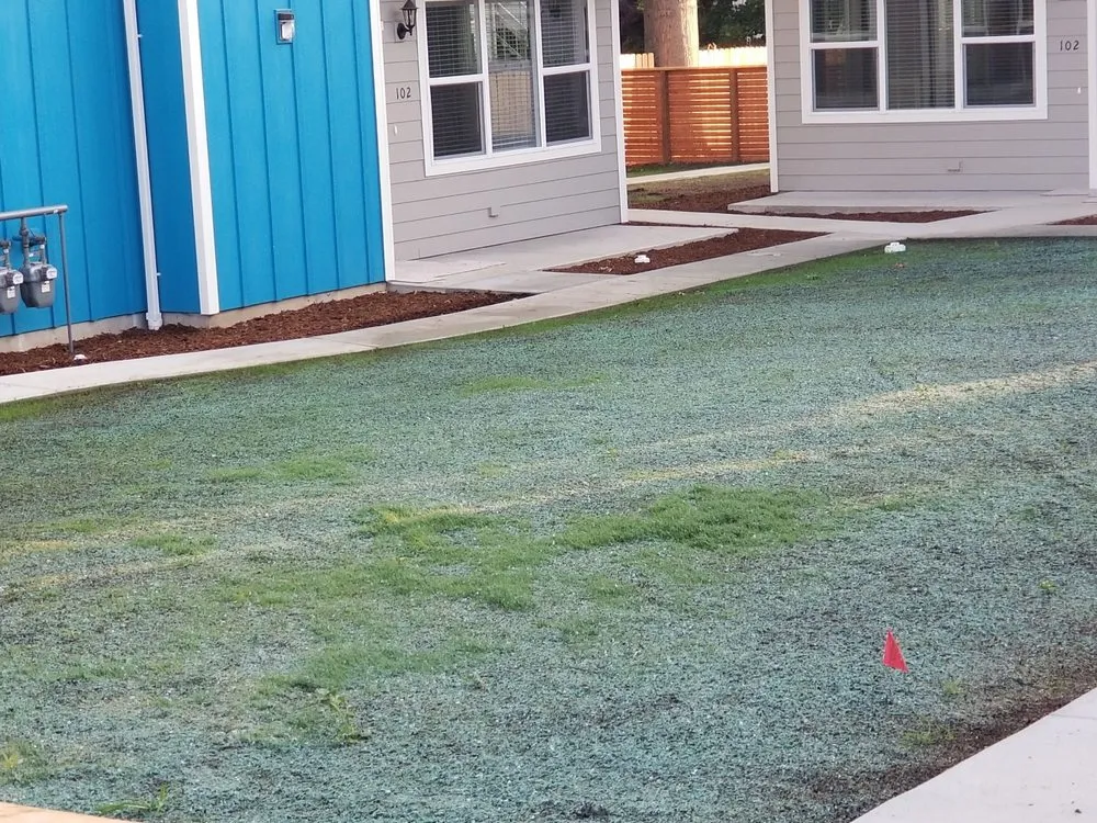 Affordable lawn care service for outdoor upgrades in Ferndale, WA by Rubens Landscape & Asphalt