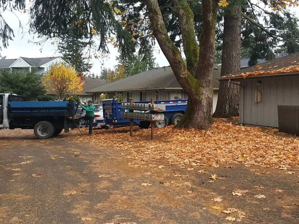 Custom yard maintenance in Bellingham, WA - Rubens Landscape Asphalt