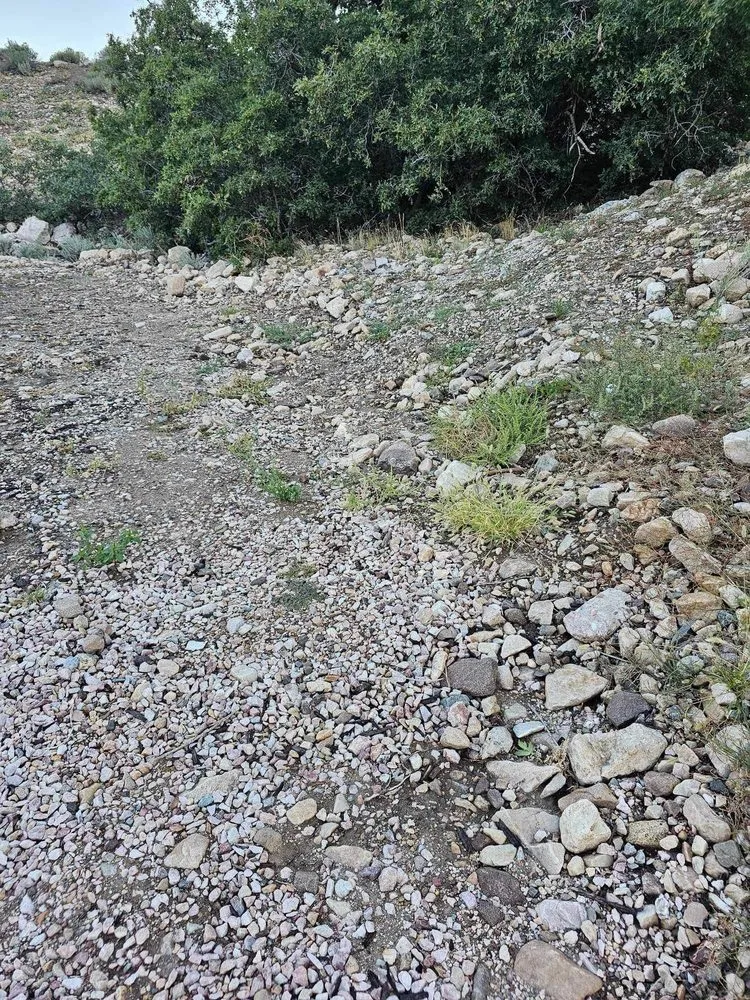 Affordable outdoor landscaping in Ogden, UT - Ruben's Landscaping & Excavating