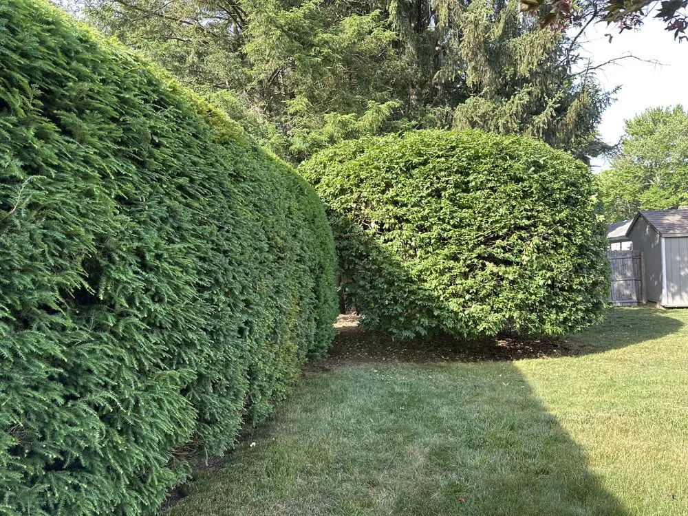 Custom residential landscaping in Poughkeepsie, NY - Rubens Landscaping And Construction