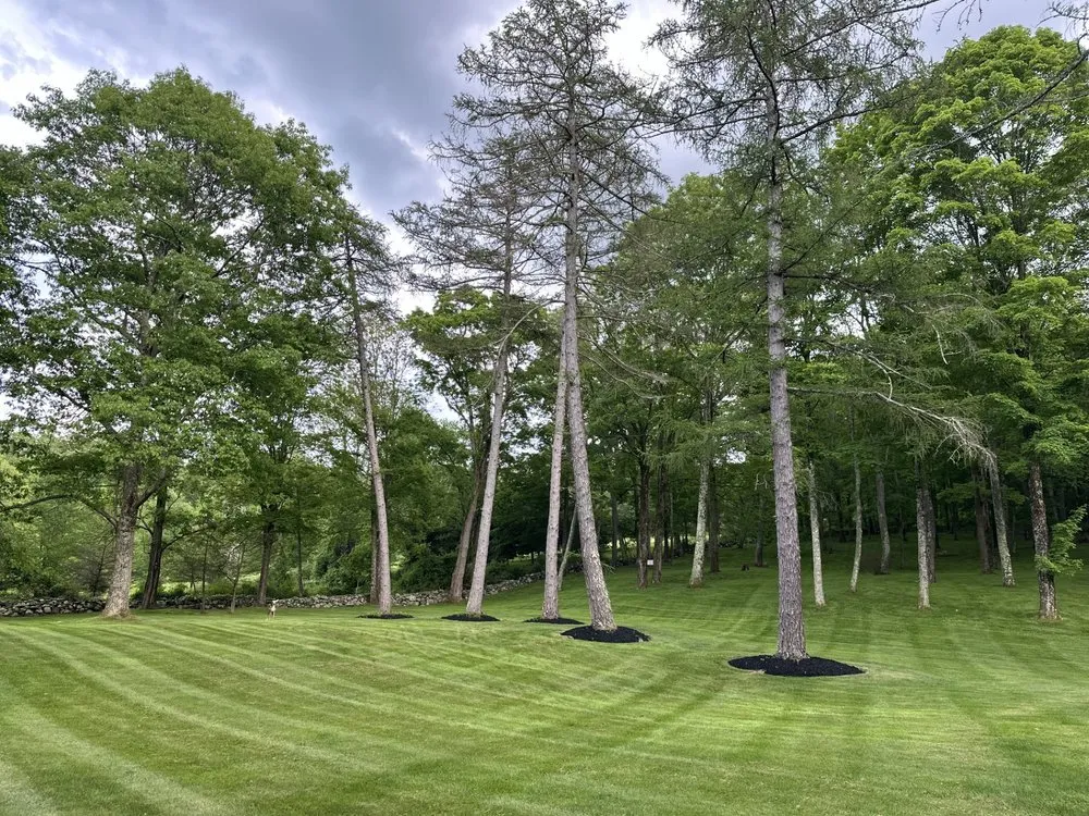 Professional lawn care service for outdoor upgrades across Poughkeepsie, NY - Rubens Landscaping And Construction