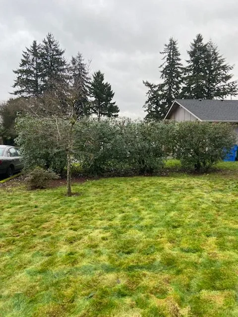 Professional yard maintenance in Vancouver, WA by Ruben's Landscaping Yard Work