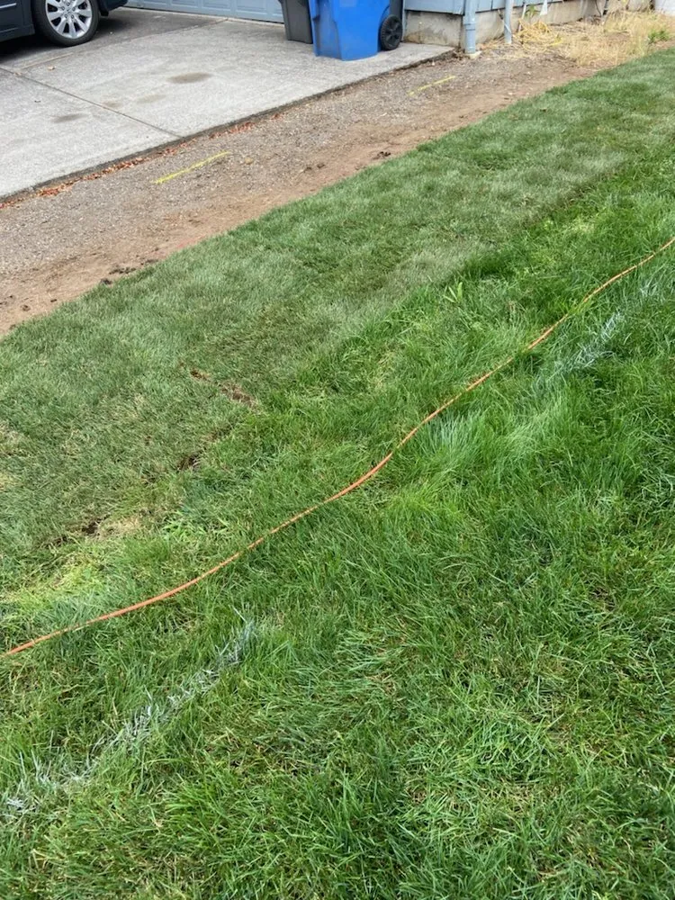 Reliable yard cleanup service in Vancouver, WA - Ruben's Landscaping Yard Work