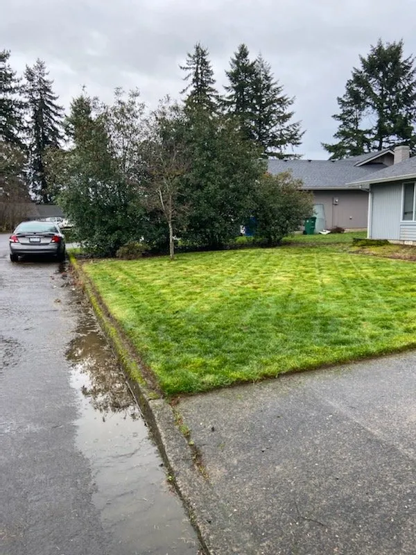 Expert lawn mowing service for year-round maintenance across Vancouver, WA - Ruben's Landscaping Yard Work