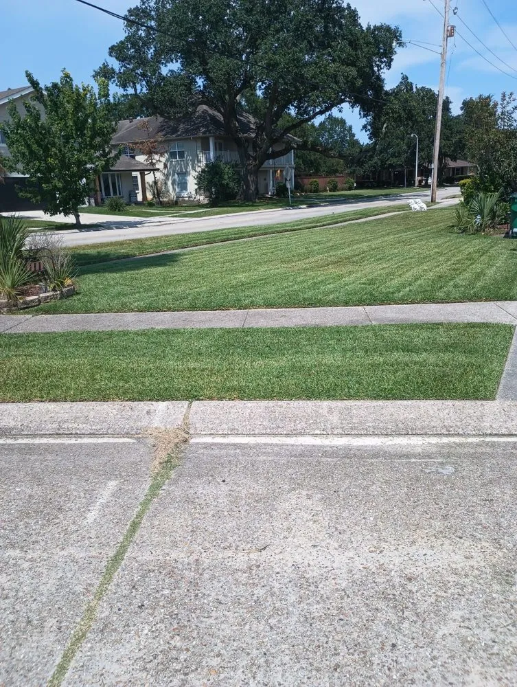 Expert outdoor landscaping in New Orleans, LA by Ruben's Lawn Care