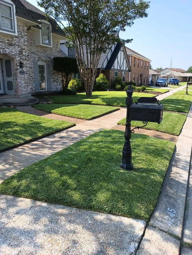 Reliable yard maintenance in New Orleans, LA - Ruben's Lawn Care