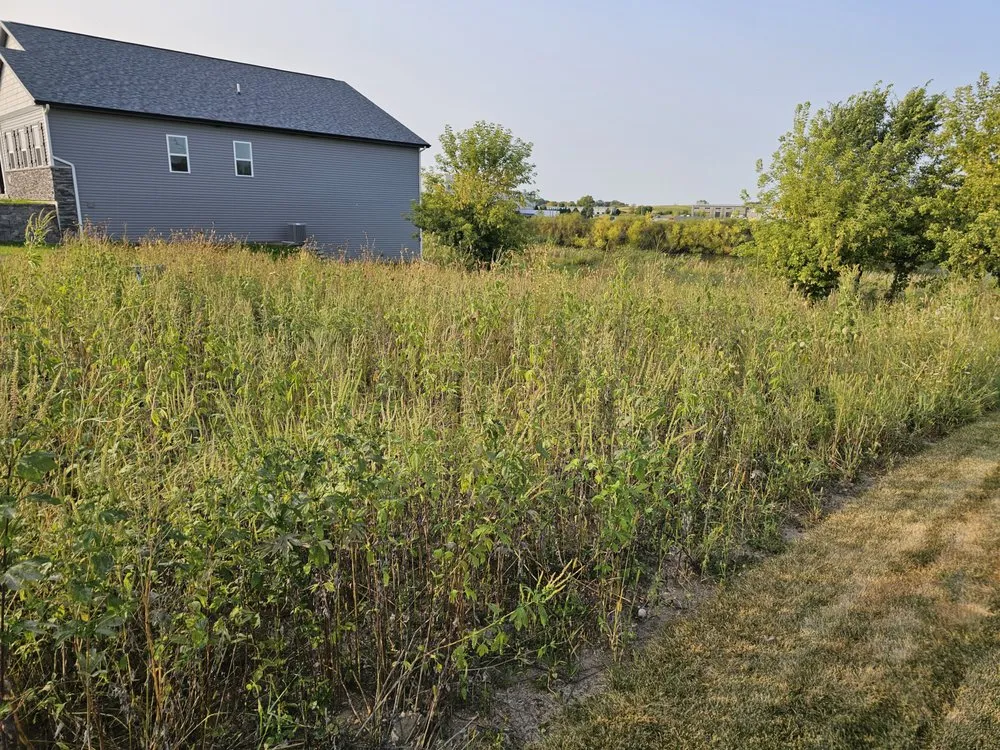 Affordable lawn mowing service experts serving Madison, WI - Ruben's Lawn Care Services & Dumpster Rentals