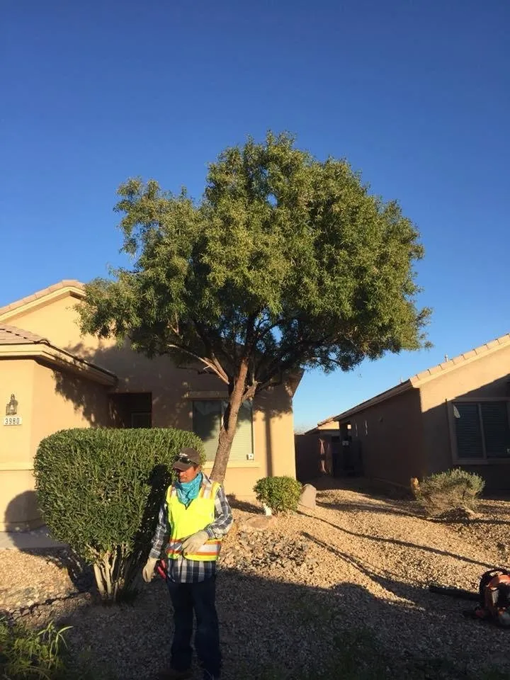 Trusted garden landscaping in Las Vegas, NV by Ruben's Lawn Service