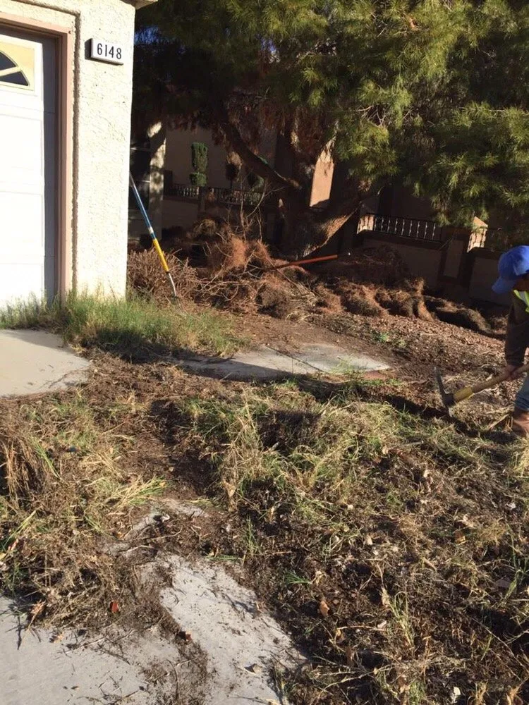 Reliable lawn care service for beautiful yards in Las Vegas, NV by Ruben's Lawn Service