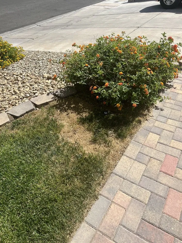 Affordable yard maintenance for residential properties across Las Vegas, NV - Ruben's Lawn Service
