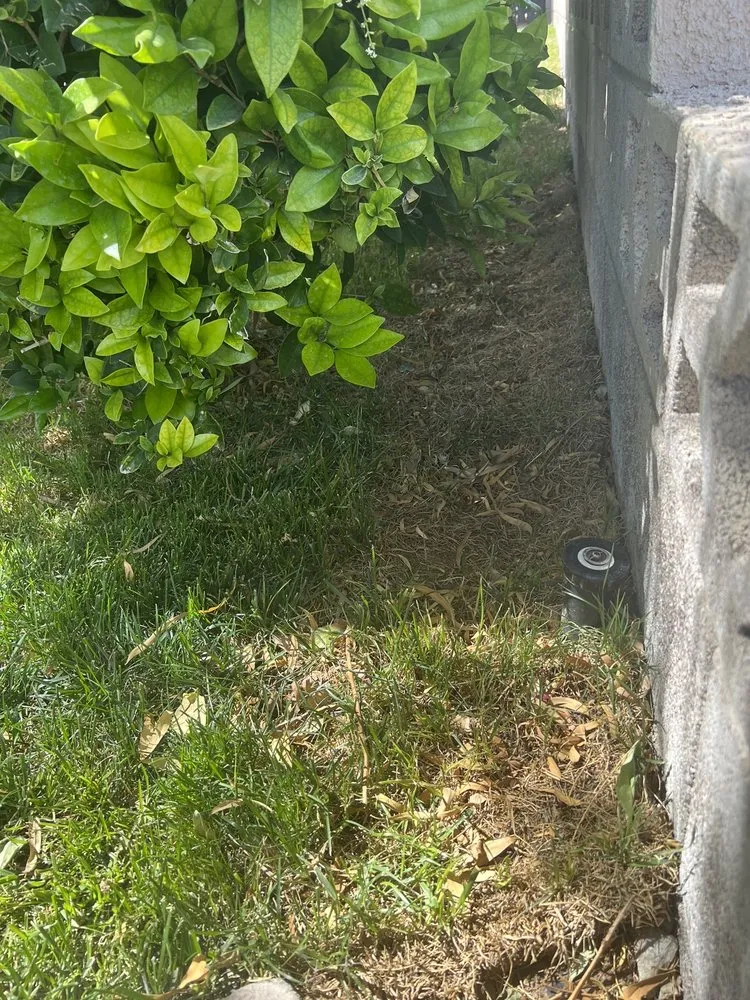 Reliable yard cleanup service in Las Vegas, NV by Ruben's Lawn Service